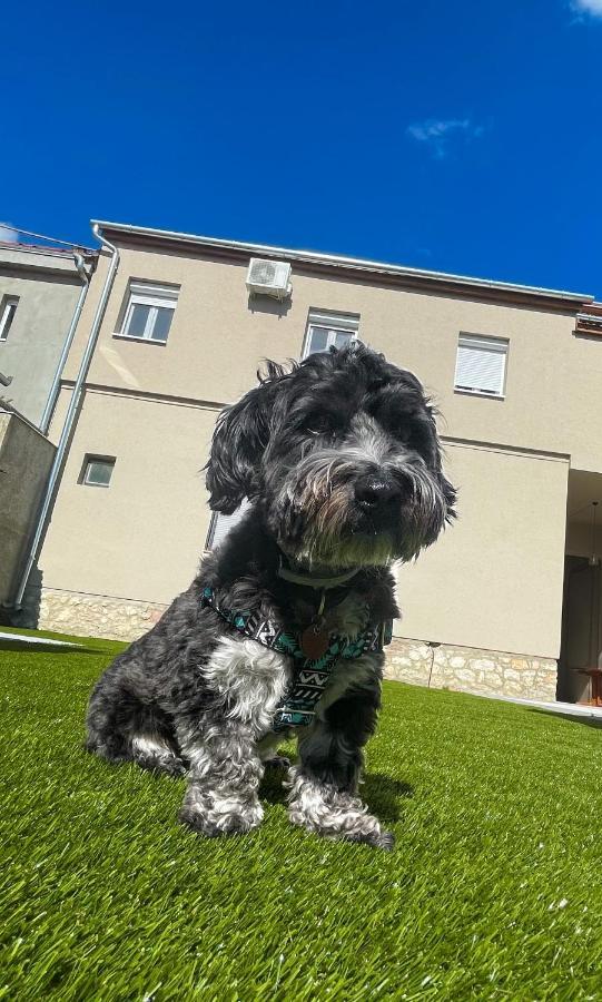 Holiday Apartmanhaz Harkány Buitenkant foto