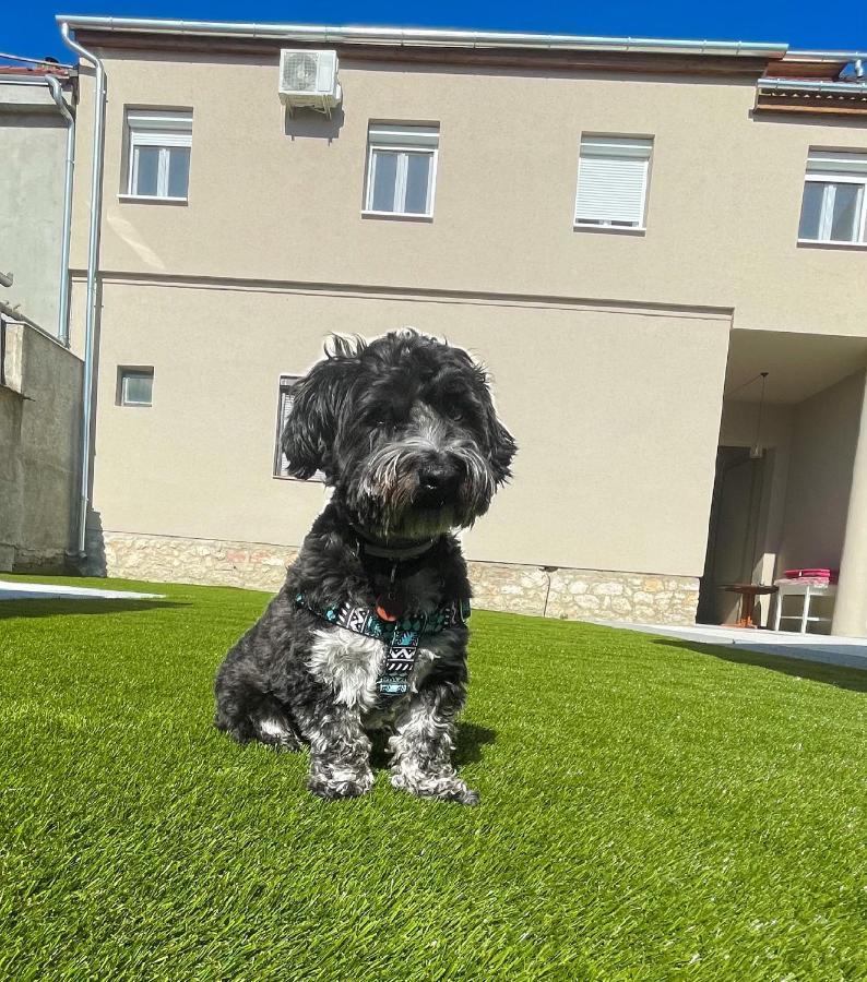 Holiday Apartmanhaz Harkány Buitenkant foto